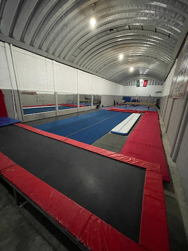 Gimnasia Diamidov