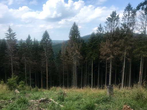 Windsberg - Visual