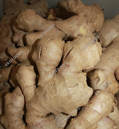 Photo n°11 de EXOFOODS à Rungis (Épicerie)