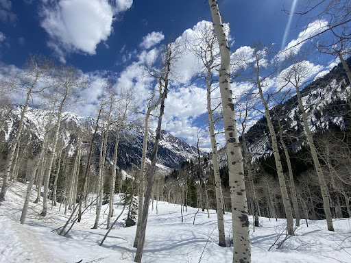 Uinta Recreation - Visual