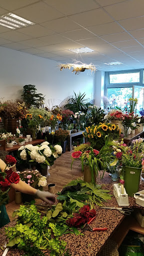 Tien Dung Nguyen flower island - Thumbnail