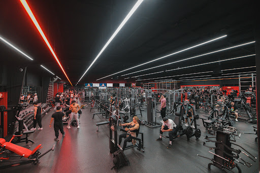 Absolute Recomp - Visual