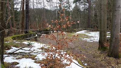 Photos of Ferienwohnungen im Landhaus Wiesenbad