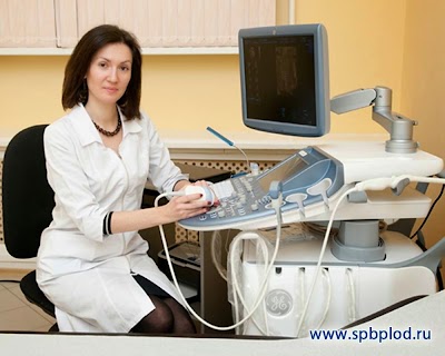 Photos of Lastochki