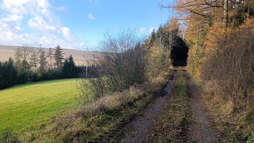Friedhof Künsdorf - Visual