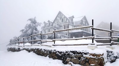 Photos of Snow rose Hotel