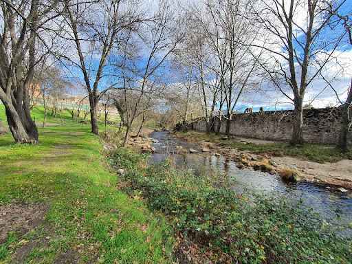 Prado Puente - Visual