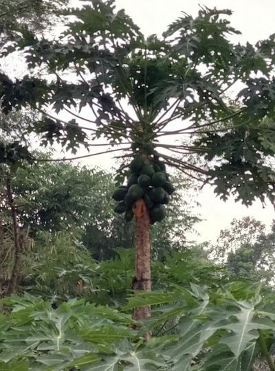 Photos of Depo Arsip Pemkab Malang
