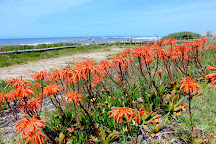 Estacao Litoral da Aguda، فيلا نوفا دي غايا, البرتغال