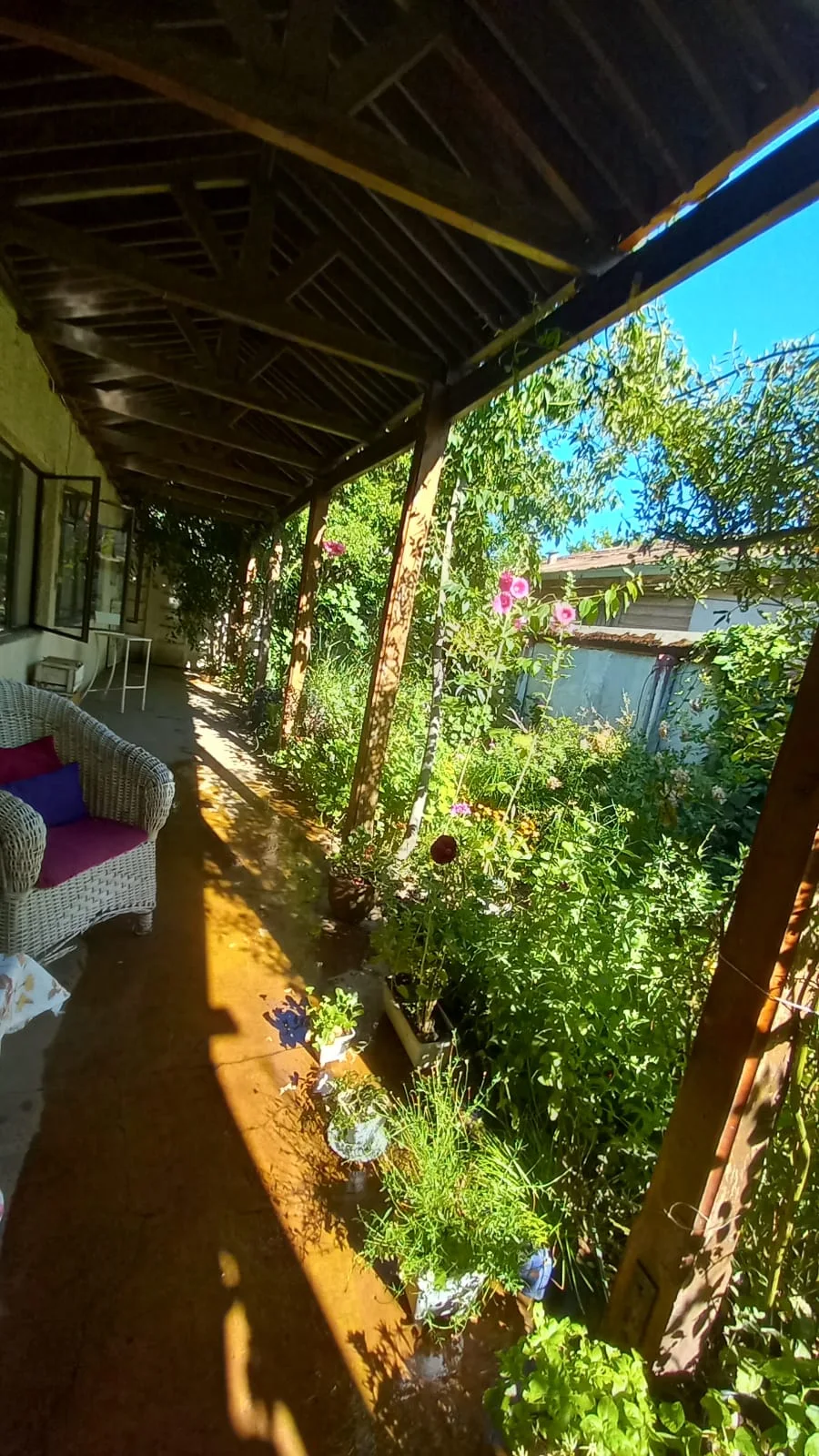 Hostel Colonial