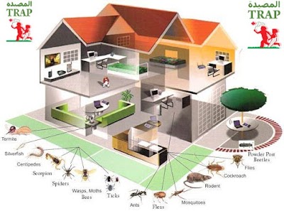 Photos of المصيدة شركه لمكافحه الحشرات والقوارض وآفات الصحة العامةعمان الأردن Trap Pest Control ,Amman,Jordan