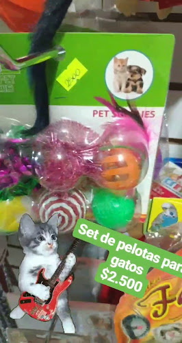 Comentarios y opiniones de Consentidos Pet Market