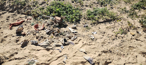 Playa Canina de la Ría - Thumbnail