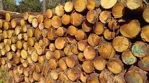 Photo n°18 de Chambres d'hôtes Douvilla - Bed and breakfast Dordogne Périgord/ Parc arboré piscine à Douville (Chambre d'hôtes)