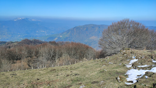 Larte - Visual
