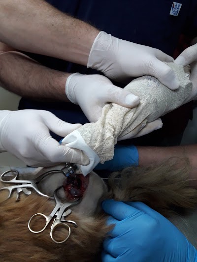 Photos of Clinica Veterinaria San Roque