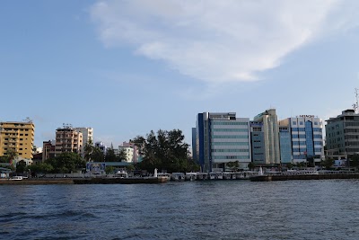 Photos of Airport Ferry
