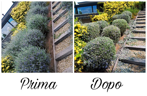 Master Giardino - Visual