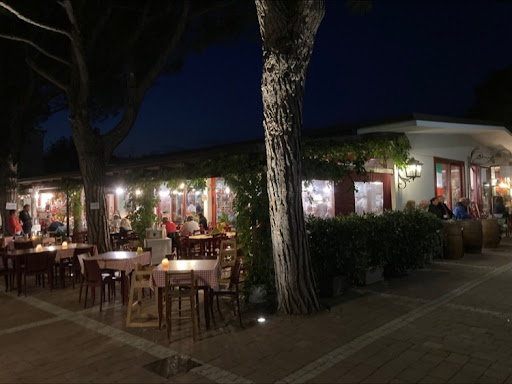 Cantinetta Lispida - Visual