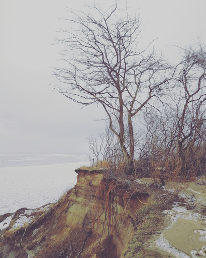 Hawk Cliff - Visual