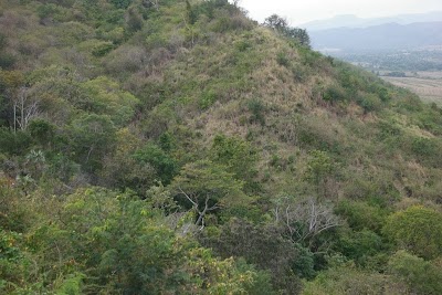 Photos of Los Laureles