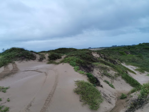 Dunas Cabo Rojo - Thumbnail