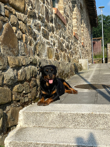 Rottweiler De Bedia - Thumbnail