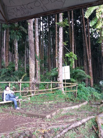 Photos of Pancuran Telu