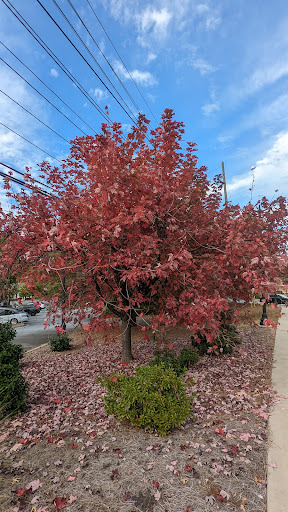 Georgetowne Park - Visual