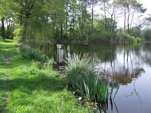 Photo n°21 de Chambre et Relais Paysan de la Ferme du Bois d'haut à Mérigny (Chambre d'hôtes)