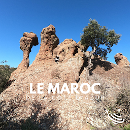Photo n°24 de La Toupie Bleue à Puget-sur-Argens (Voyagiste)