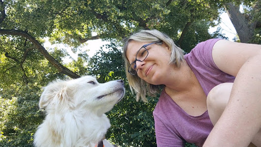 Like Cats and Dogs Hunde- und Katzenverhaltensberatung Pia Weidinger, MSc - Grafenwörth