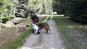 Photo n°19 de La Passion d'Argos à Bourg-Saint-Christophe (Dresseur pour chiens)