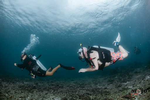 Mojo Diver - Koh Tao (BOOKING OFFICE)
