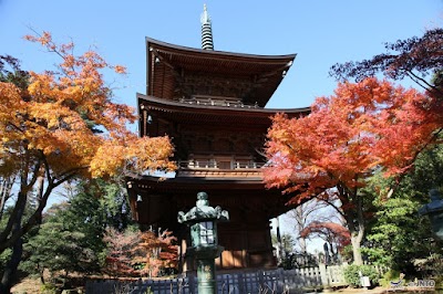 Photos of MG Travel