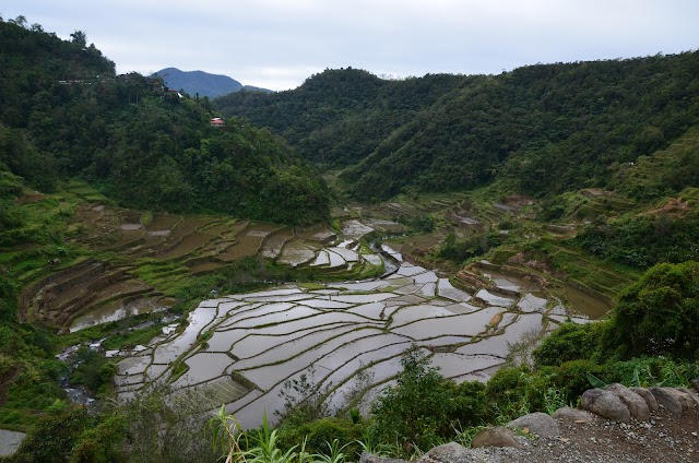 Banaue