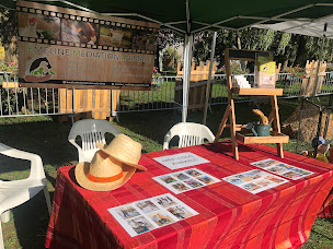 Photo n°15 de Émeline Médiation Animale EMA à Florémont (Éleveur)