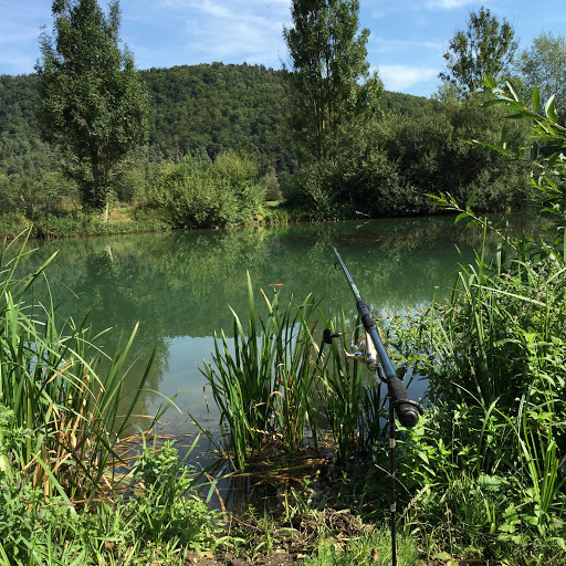 Altwasser Ludwig-Donau-Main-Kanal - Thumbnail