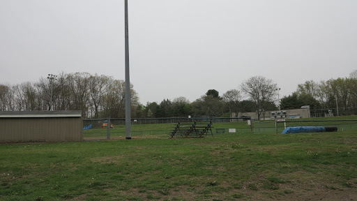 Welch Pool - Visual