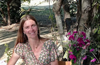 Passiflore coaching à Banyuls-dels-Aspres