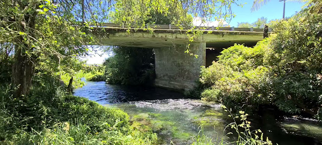 Te Waihou Blue Springs (Whites Road entrance) Open Times