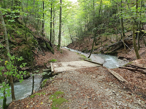 Kesselberg Wasserfall - Thumbnail