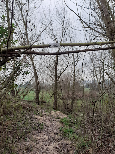 Buca Park - Visual