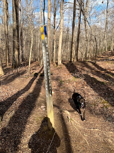 Gunpowder Falls State Park Hereford Area