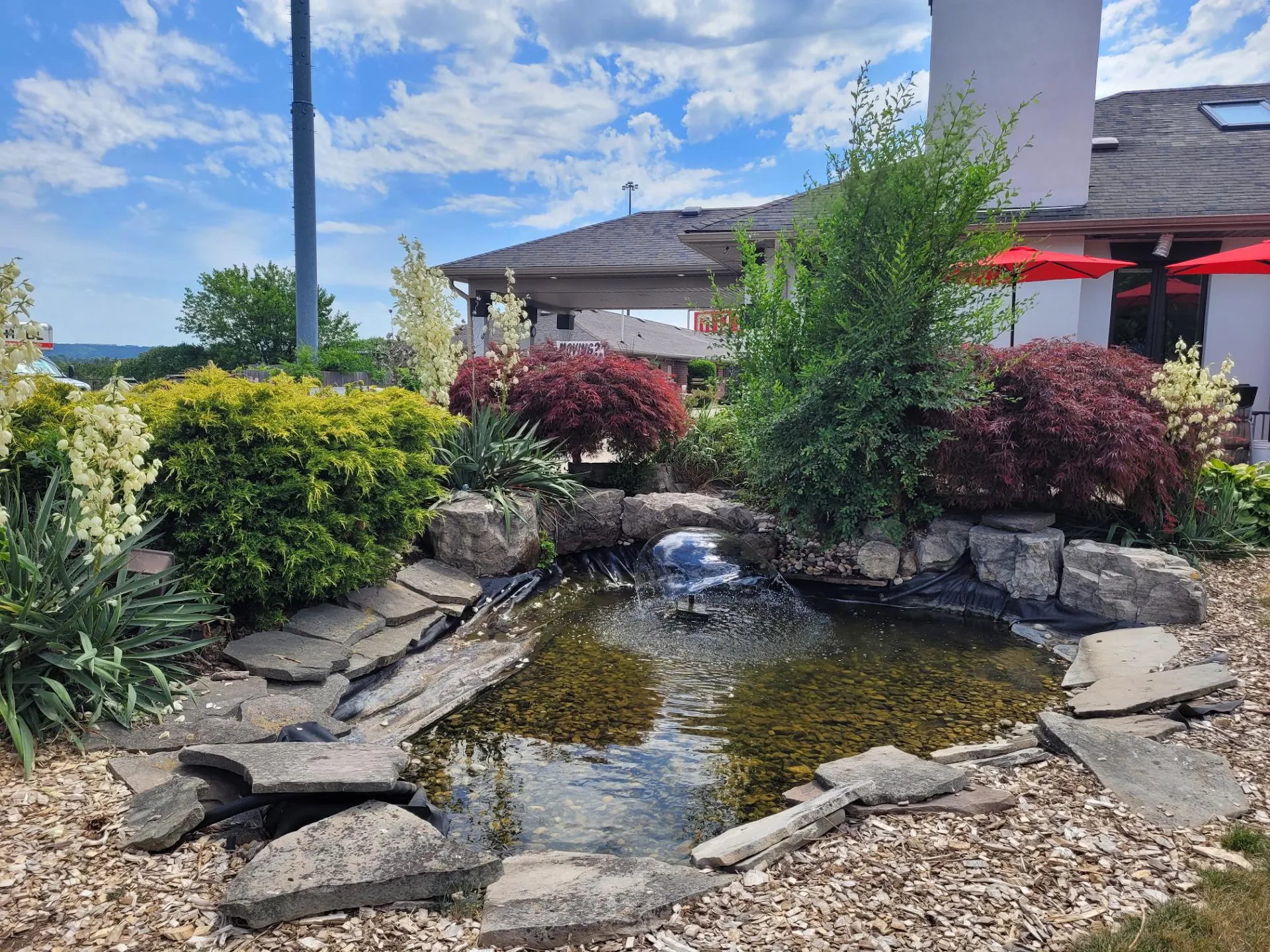 The City View Inn