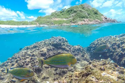 Photos of Pigeon Island National Park