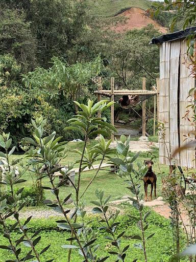 Glamping La Veranera
