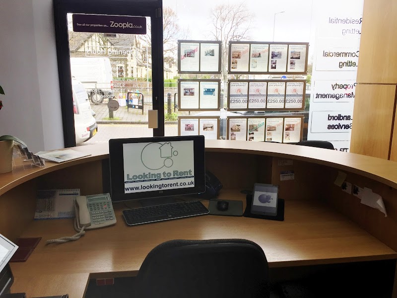 Looking To Rent photo 3