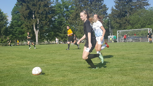 Porter Soccer Fields - Visual