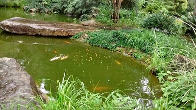 Photos of RT Lodge